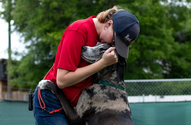 Team member kisses dog on head